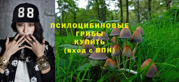 не бодяженный Вяземский
