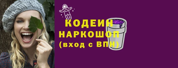 стаф Вязьма