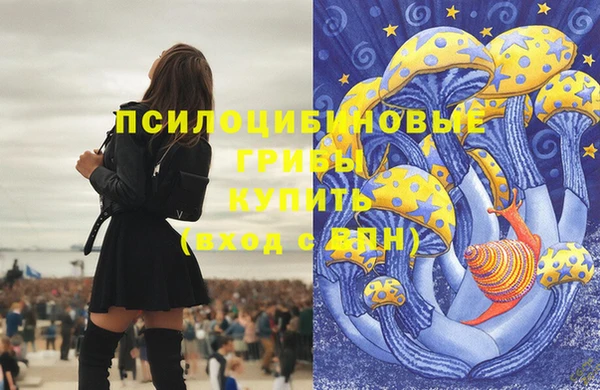 стаф Вязьма