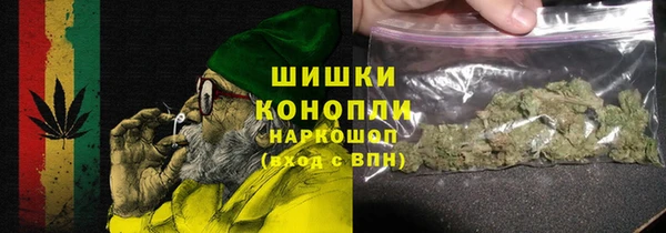 стаф Вязьма