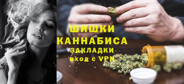 стаф Вязьма
